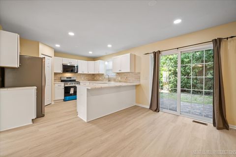 Tiny photo for 438 W Meadow Mist Lane, Round Lake, IL 60073 (MLS # 12507543)