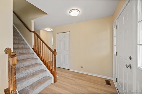 Tiny photo for 438 W Meadow Mist Lane, Round Lake, IL 60073 (MLS # 12507543)