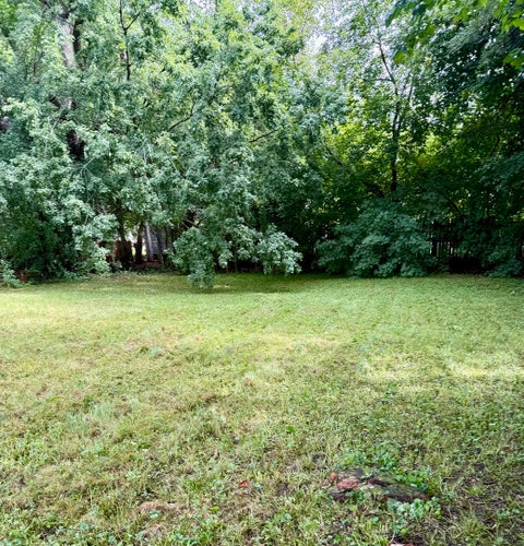Tiny photo for 1N649 Main Street, Glen Ellyn, IL 60137 (MLS # 12762478)