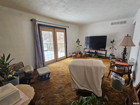 Tiny photo for 153 DEER PARK Drive, Geneseo, IL 61254 (MLS # QC4269889)