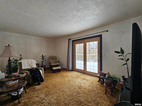 Tiny photo for 153 DEER PARK Drive, Geneseo, IL 61254 (MLS # QC4269889)