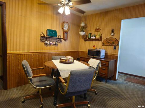 Tiny photo for 153 DEER PARK Drive, Geneseo, IL 61254 (MLS # QC4269889)