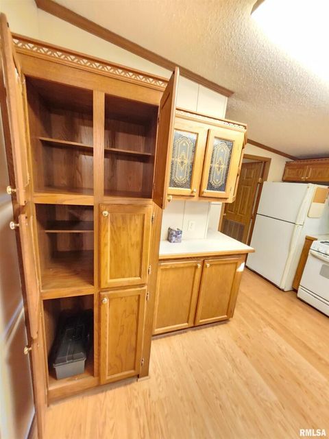 Tiny photo for 37 JANET Street, Murphysboro, IL 62966 (MLS # EB460611)