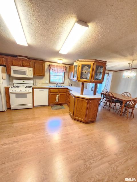 Tiny photo for 37 JANET Street, Murphysboro, IL 62966 (MLS # EB460611)