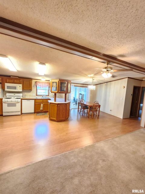 Tiny photo for 37 JANET Street, Murphysboro, IL 62966 (MLS # EB460611)