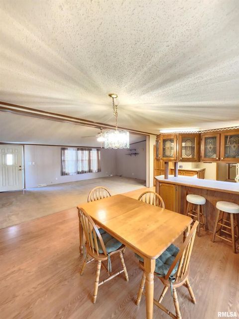 Tiny photo for 37 JANET Street, Murphysboro, IL 62966 (MLS # EB460611)