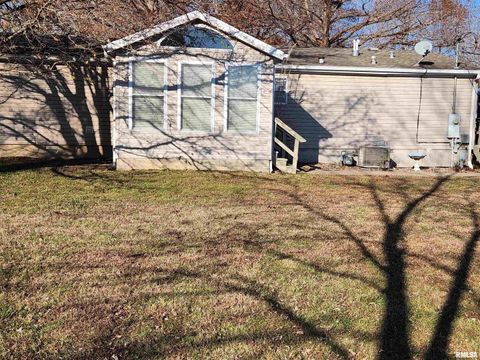 Tiny photo for 37 JANET Street, Murphysboro, IL 62966 (MLS # EB460611)