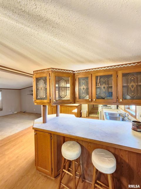 Tiny photo for 37 JANET Street, Murphysboro, IL 62966 (MLS # EB460611)