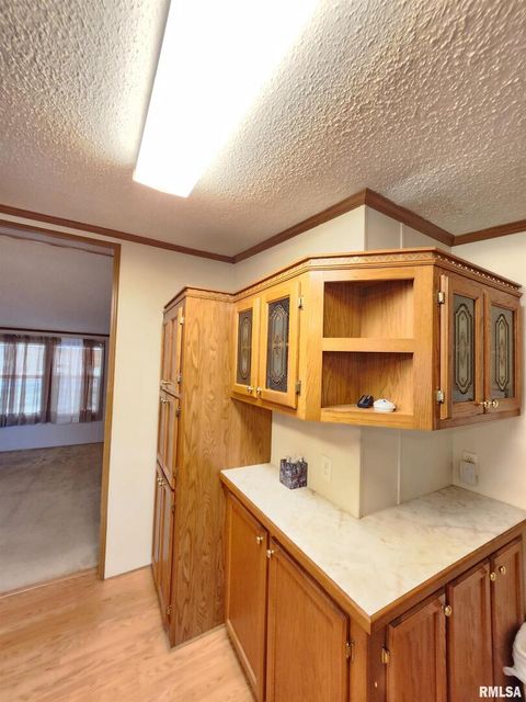 Tiny photo for 37 JANET Street, Murphysboro, IL 62966 (MLS # EB460611)