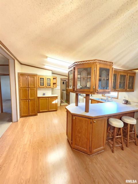 Tiny photo for 37 JANET Street, Murphysboro, IL 62966 (MLS # EB460611)