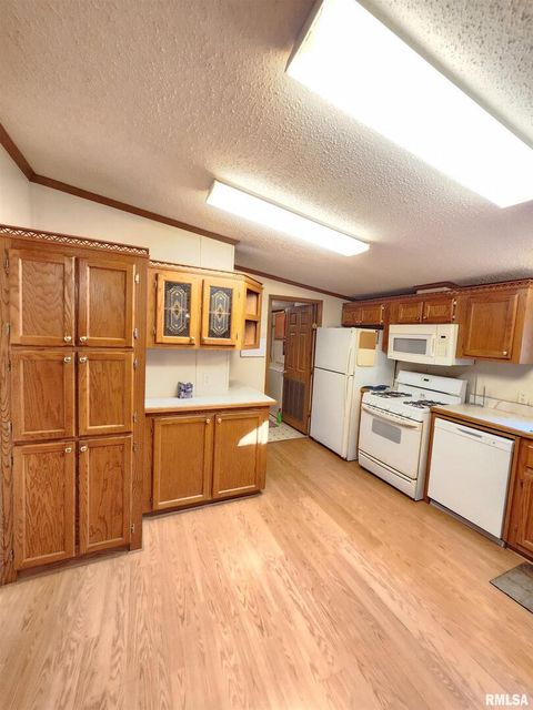 Tiny photo for 37 JANET Street, Murphysboro, IL 62966 (MLS # EB460611)