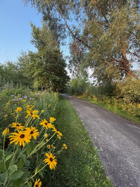 Tiny photo for 995 Reserve Drive, Elgin, IL 60124 (MLS # 12732907)