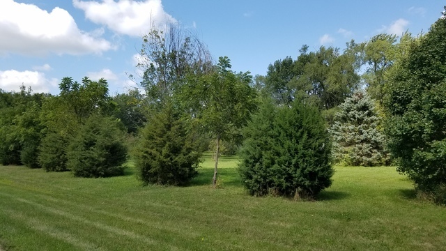 5548 W Heatherbrook Trail