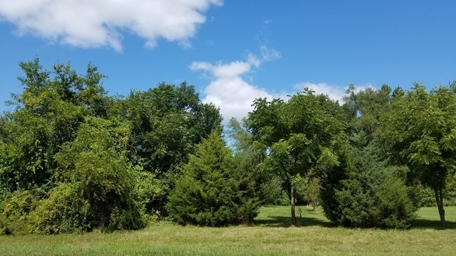 5548 W Heatherbrook Trail
