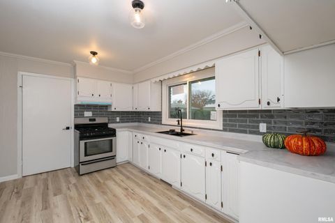 Tiny photo for 4 MAPLE Court, Colona, IL 61241 (MLS # QC4269184)