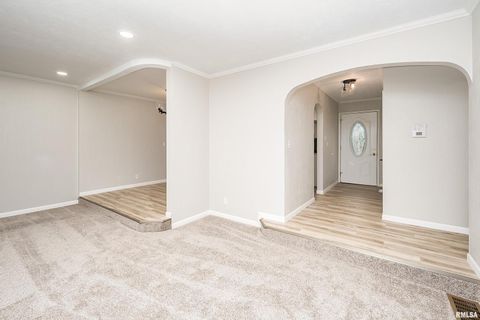 Tiny photo for 4 MAPLE Court, Colona, IL 61241 (MLS # QC4269184)