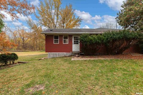 Tiny photo for 4 MAPLE Court, Colona, IL 61241 (MLS # QC4269184)