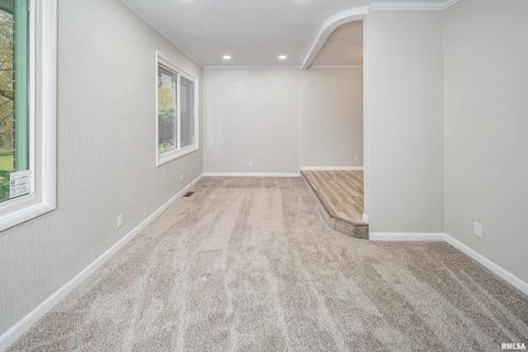 Tiny photo for 4 MAPLE Court, Colona, IL 61241 (MLS # QC4269184)