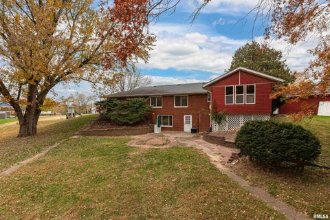 Tiny photo for 4 MAPLE Court, Colona, IL 61241 (MLS # QC4269184)