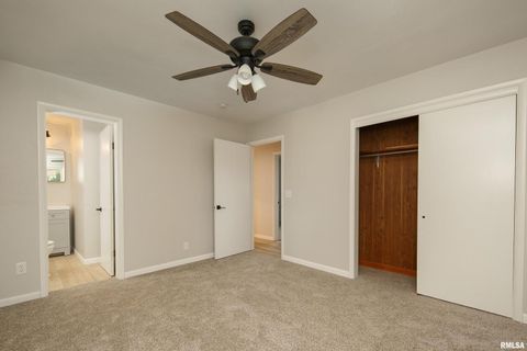 Tiny photo for 4 MAPLE Court, Colona, IL 61241 (MLS # QC4269184)