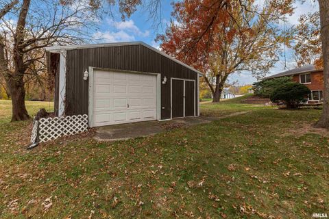 Tiny photo for 4 MAPLE Court, Colona, IL 61241 (MLS # QC4269184)