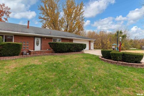 Tiny photo for 4 MAPLE Court, Colona, IL 61241 (MLS # QC4269184)