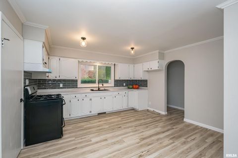 Tiny photo for 4 MAPLE Court, Colona, IL 61241 (MLS # QC4269184)