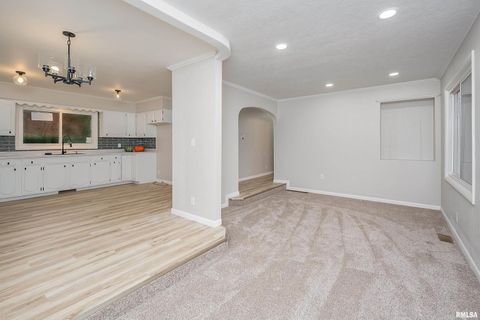 Tiny photo for 4 MAPLE Court, Colona, IL 61241 (MLS # QC4269184)