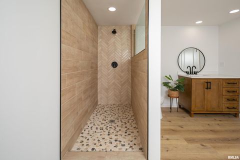 Tiny photo for 4 MAPLE Court, Colona, IL 61241 (MLS # QC4269184)