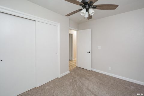 Tiny photo for 4 MAPLE Court, Colona, IL 61241 (MLS # QC4269184)