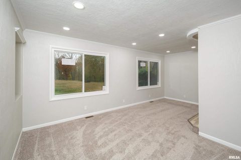 Tiny photo for 4 MAPLE Court, Colona, IL 61241 (MLS # QC4269184)