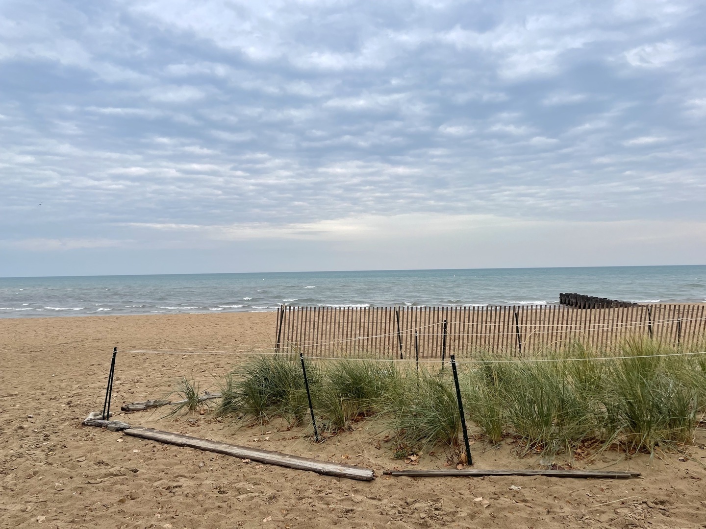 1057 W COLUMBIA Avenue 1E