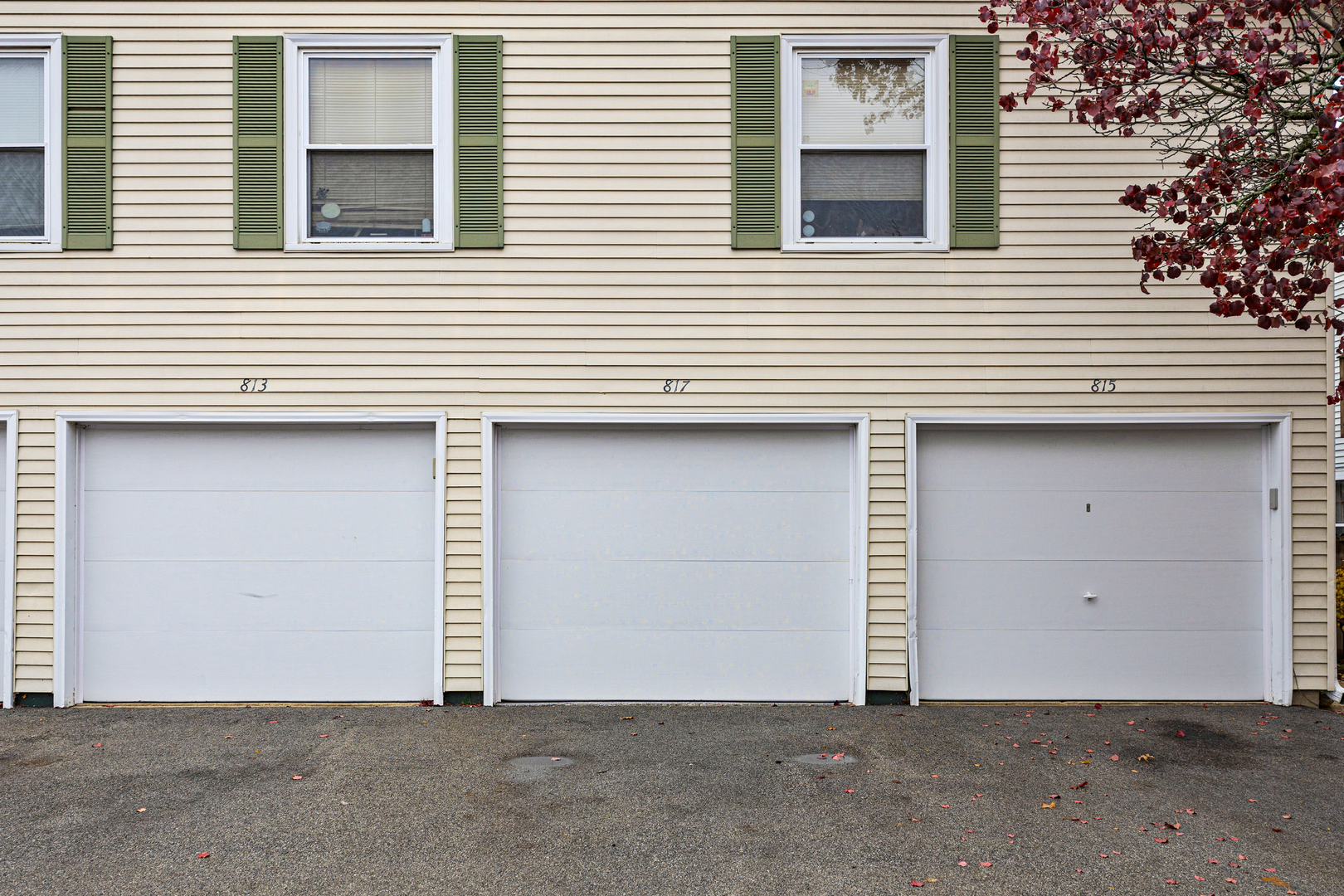 817 Wellington Avenue 817