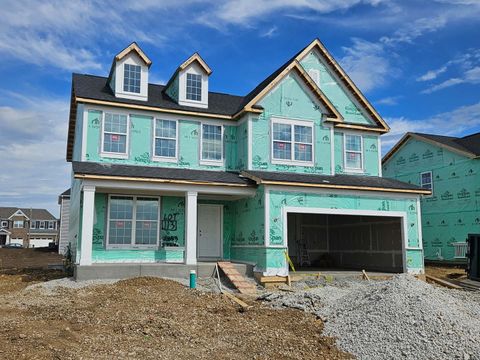 12853 S Platte Trail Plainfield IL 60585