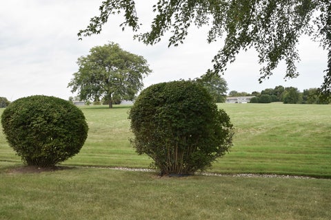 Tiny photo for 34020 N White Oak Lane #31D, Gurnee, IL 60031 (MLS # 12758184)