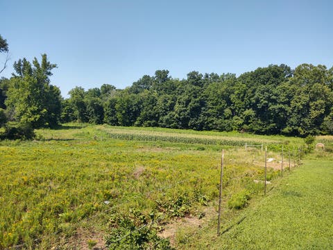 Tiny photo for 425 King Hill Lane, Vienna, IL 62995 (MLS # 12684710)
