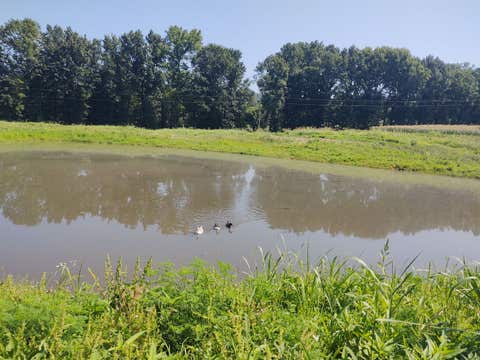 Tiny photo for 425 King Hill Lane, Vienna, IL 62995 (MLS # 12684710)