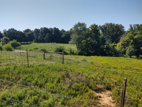 Tiny photo for 425 King Hill Lane, Vienna, IL 62995 (MLS # 12684710)