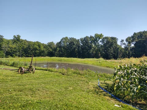 Tiny photo for 425 King Hill Lane, Vienna, IL 62995 (MLS # 12684710)