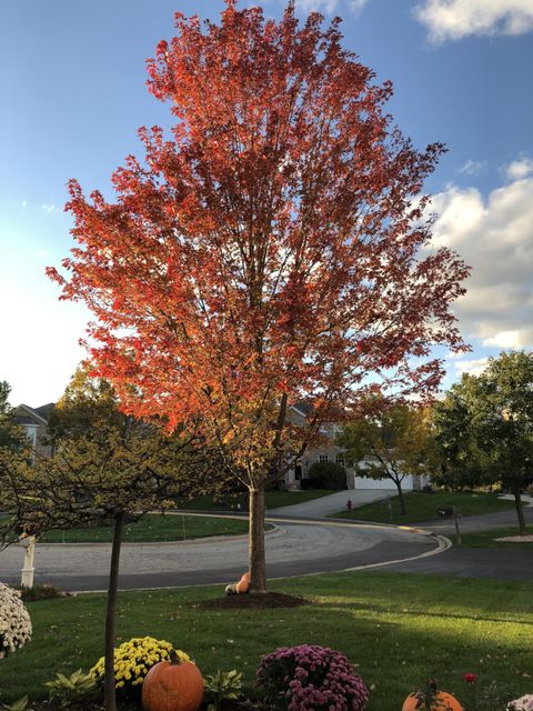 A home in Lindenhurst