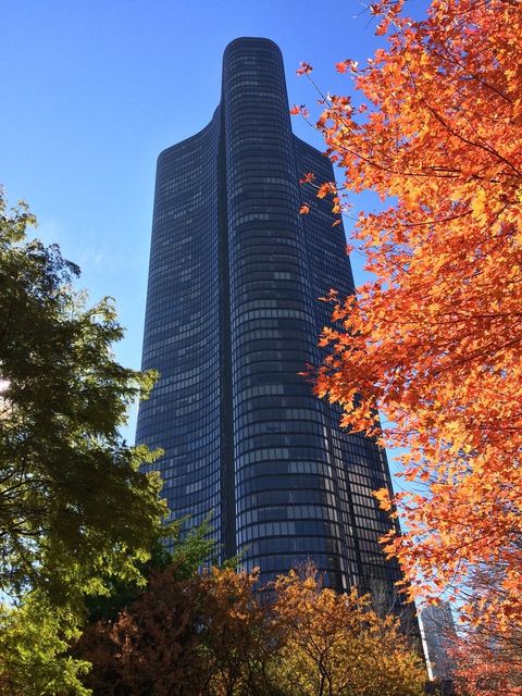 505 N Lake Shore Drive 6601 Chicago IL 60611