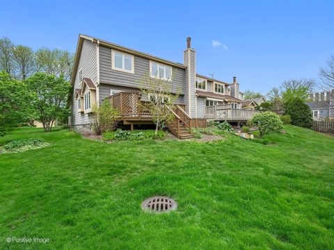 Tiny photo for 517 Renn Court, Wheaton, IL 60187 (MLS # 12626602)