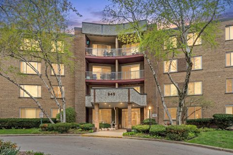 Photo of 945 E Kenilworth Avenue #423, Palatine, IL 60074 (MLS # 12630407)
