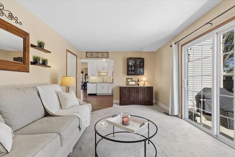 Tiny photo for 204 S Carriage Trail, McHenry, IL 60050 (MLS # 12599477)