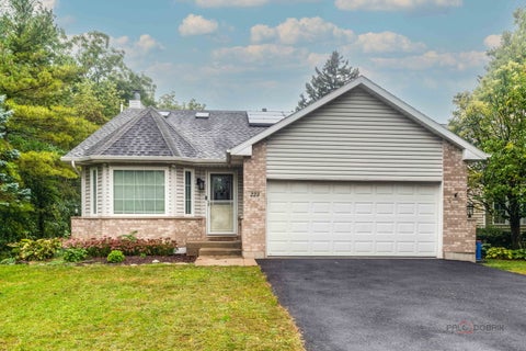 Photo of 223 Delia Drive, Wauconda, IL 60084 (MLS # 12762133)