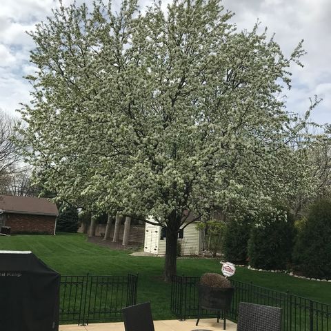 Tiny photo for 502 Jersey Avenue, Normal, IL 61761 (MLS # 12481313)