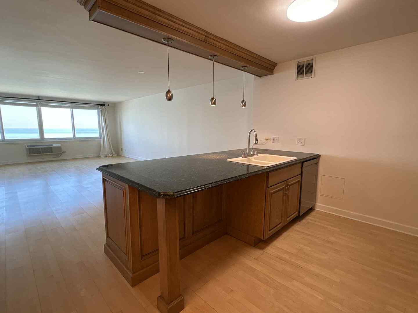 1440 N Lake Shore Drive 21E