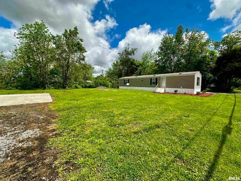 Tiny photo for 806 & 808 BOYD Street, Eldorado, IL 62930 (MLS # QC4269425)