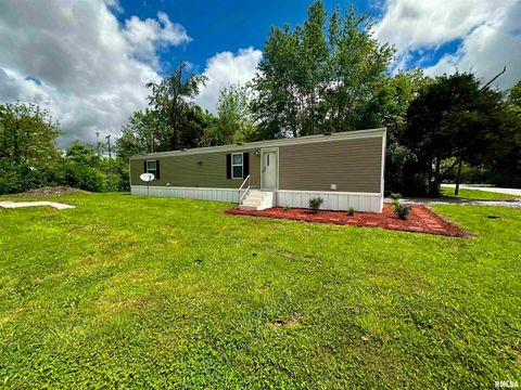 Tiny photo for 806 & 808 BOYD Street, Eldorado, IL 62930 (MLS # QC4269425)