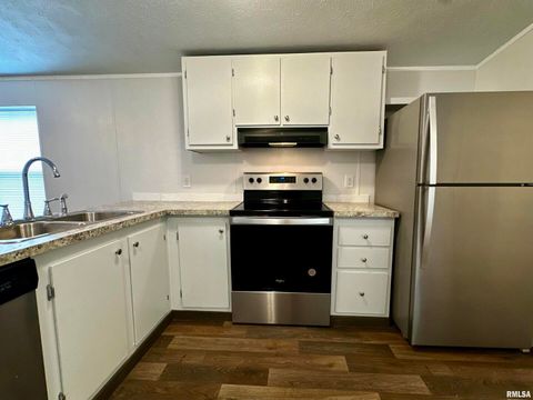 Tiny photo for 806 & 808 BOYD Street, Eldorado, IL 62930 (MLS # QC4269425)